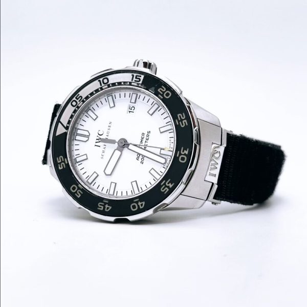 2010 IWC Aquatimer